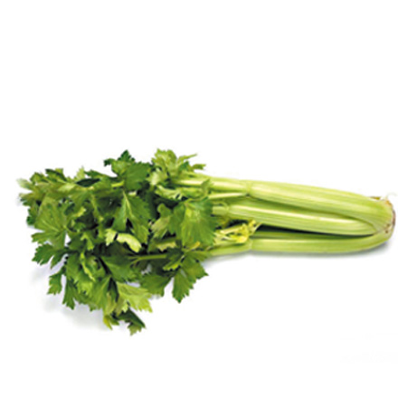 产品中心标题一