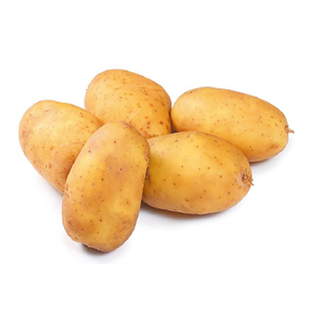 产品中心标题一