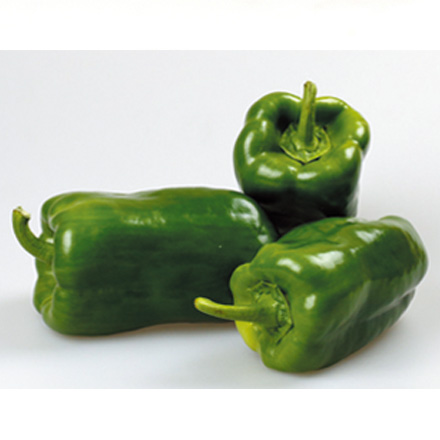 产品中心标题六